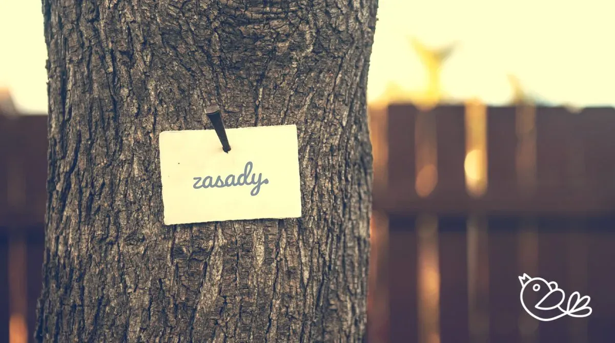 Zasady