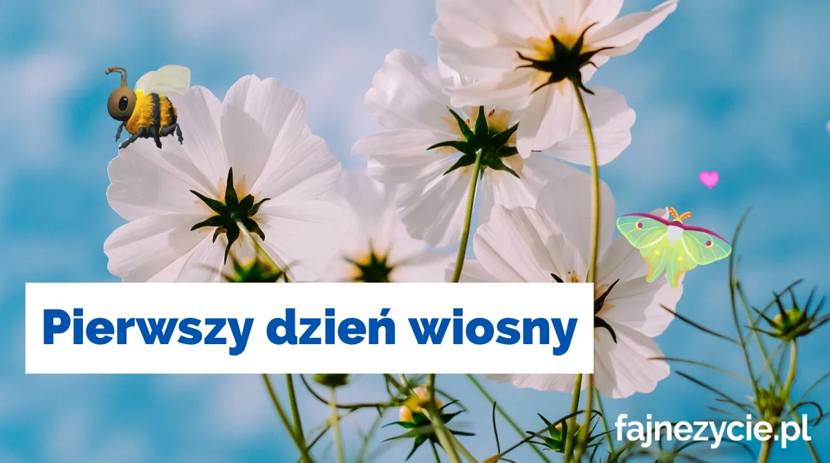 Pierwszy dzień wiosny!